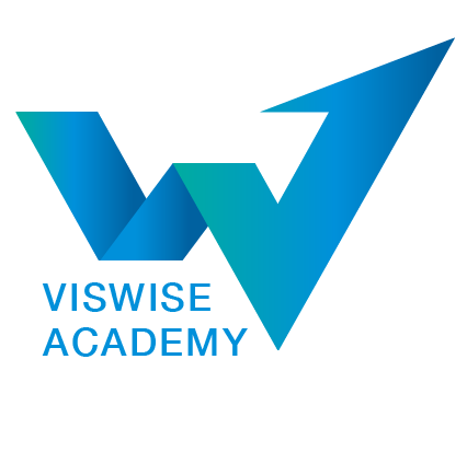 Viswise academy